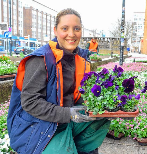 Lehrfacharbeiterin Jana Bunkowski (33) vom Amt für Stadtgrün hat mit ihren rund 30 Kollegen ordentlich rangeklotzt, damit die tausenden Frühblüher innerhalb eines Tages in die Erde kommen. 