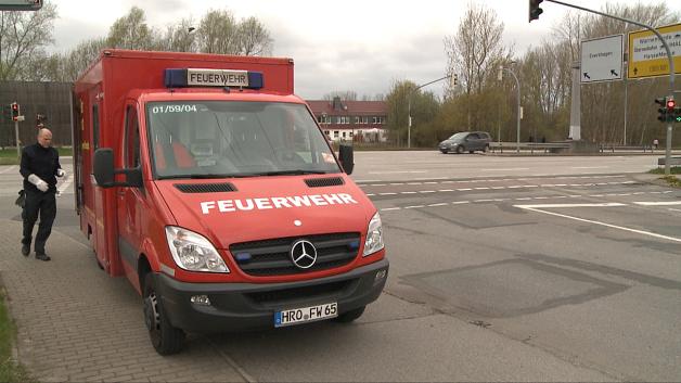 Tierischer Einsatz an Rostocker Stadtautobahn: Feuerwehr rettet junge Gänse vor sicherem Tod