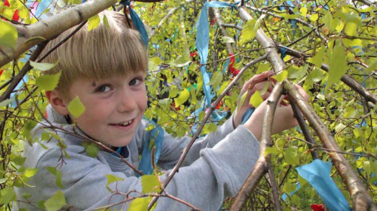 So wie der achtjährige MaximPapendick hatten vor allem viele Kinder ihren Spaß beim Schmücken der Maibäume.  Fotos: Holger Glaner (7), Maik Freitag (1) 