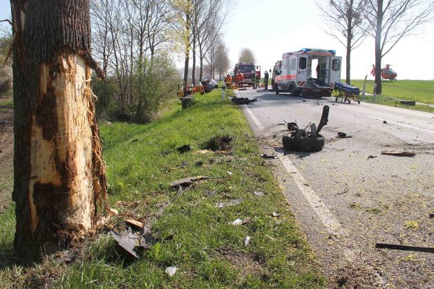 Horror-Unfall auf B 104 bei Teterow: Mann stirbt nach Zusammenstoß mit Baum 