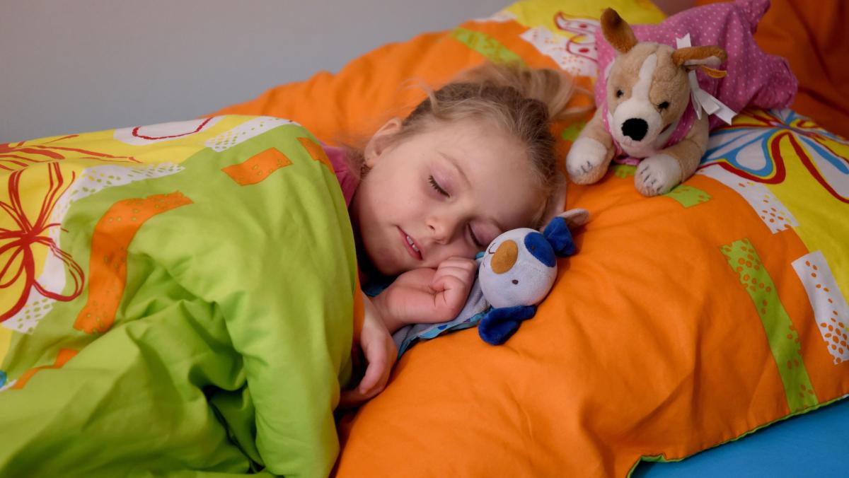 Erster NachtKindergarten in SH Das halten die Leser von dem Ang SHZ