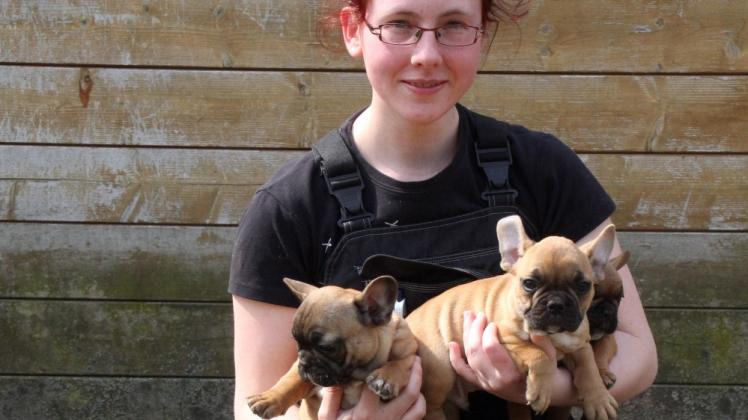 Tierpflegerin Francesca Jeschke von der Tierpension „Kleine Oase“ in Holthusen päppelt die vier französischen Bulldoggenwelpen jetzt auf. 