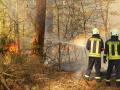 Feuerwehrleute löschten Donnerstag einen Waldbrand in einem Kiefernwald zwischen Wittstock und Wredenhagen. 