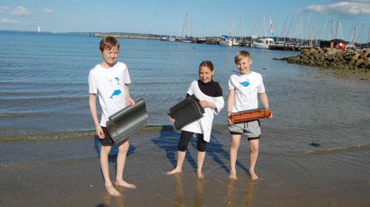 Tom, Lina und Lasse haben einen Forscherauftrag: Sie legen Dachziegel auf verschiedenen Tiefen ins Wasser, um das Leben in Strandnähe zu erforschen. 