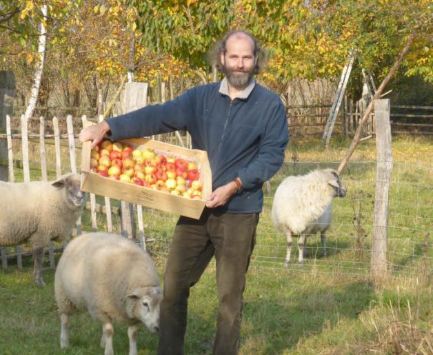 Dirk Müller setzt sich für den Erhalt seltener Obstbaumsorten ein. Zusammen mit seiner Frau Anja Abdank unterstützt er die Gemeinde Dreetz, um das Dorfgrün zu fördern. Dirk Müller setzt sich für den Erhalt seltener Obstbaumsorten ein. Zusammen mit seiner Frau Anja Abdank unterstützt er die Gemeinde Dreetz, um das Dorfgrün zu fördern.
