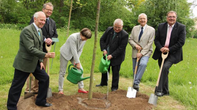 Zwölf Hände für den Baum des Jahres: Johann Böhling, Christian Herzog von Oldenburg, Dr. Christel Happach-Kasan, Klaus Schlie, Dieter Holst und Klaus-Dieter Schulz (v.li.) pflanzten eine Winterlinde. 