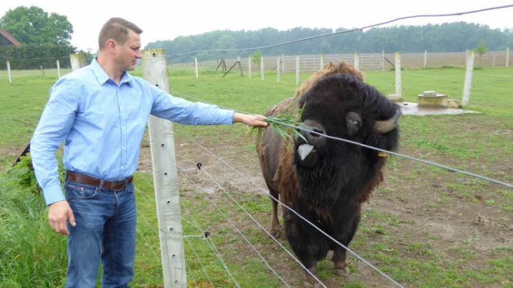 Marcel Schulz mit einem seiner Bison-Bullen. Der 37-Jährige züchtet seit 15 Jahren diese zottligen Vierbeiner.  