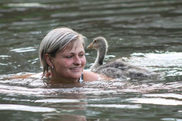 Christine Schumacher zog 2013/14 eine verletzte Graugans auf und gab ihr den Namen Elma. Sogar das Schwimmen brachte sie der Kleinen bei.