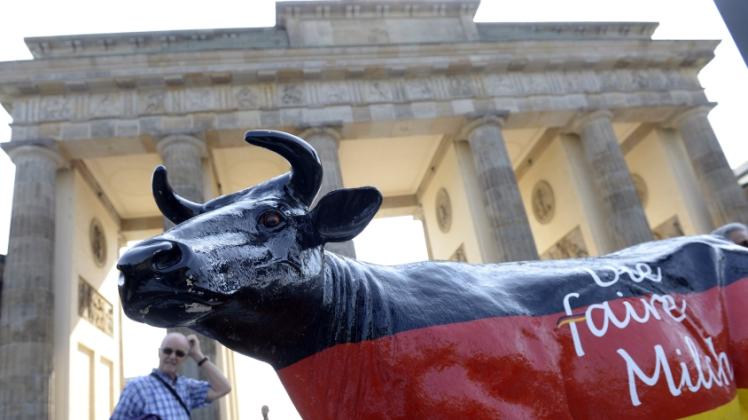 Aktivisten des Bundesverbands Deutscher Milchviehhalter (BDM) haben am 30.05.2016 in Berlin bei einer Demonstration für faire Michpreise eine Kuhfigur in den deutschen Nationalfarben mit der Aufschrift "Die faire Milch" vor dem Brandenburger Tor aufgestellt.  