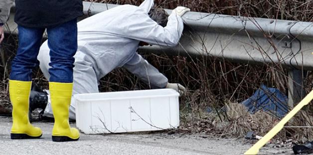 Spurensicherung an der B76: In Kiel-Elmschenhagen wurden am 16. April die Knochen der 20-Jährigen gefunden. Foto: dpa