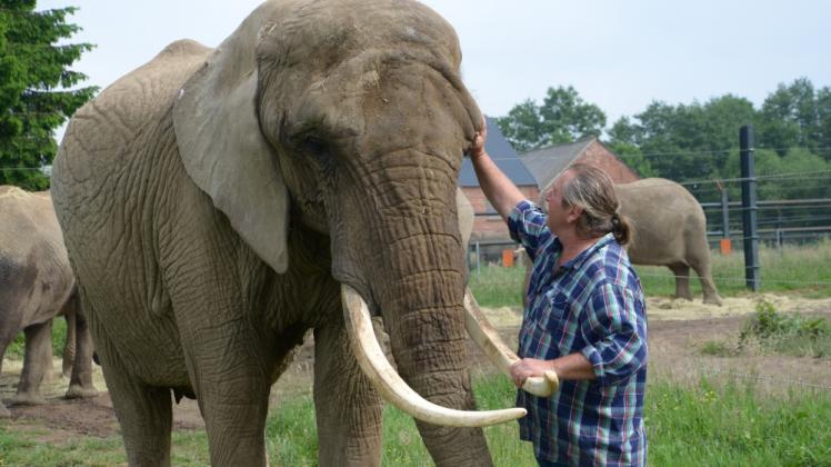 Elefanten-Dompteur Sonni Frankello begegnet seinen Tieren auf Augenhöhe. 