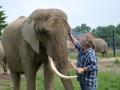 Elefanten-Dompteur Sonni Frankello begegnet seinen Tieren auf Augenhöhe. 