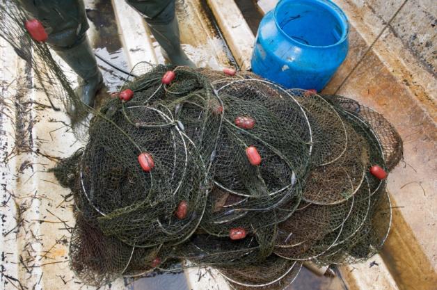 Reusenkörbe für die Aalfischerei liegen im Boot bereit. 
