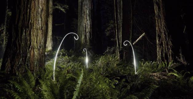 ... für das Lightpainting. ... für das Lightpainting.