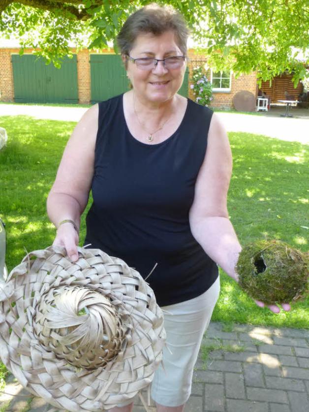 Die Jungvögel sind ausgeflogen: Gudrun Teubner zeigt den Strohhut, in dem der Zaunkönig sein kugelförmiges Nest kunstvoll baute, dort Nachwuchs ausbrütete und aufzog. Fotos: Mand 