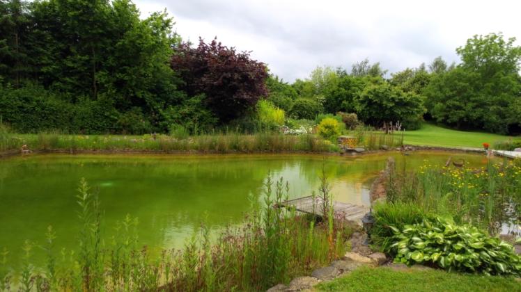 Der Garten der Behnkes in Rosenow besticht durch seine naturnahe Gestaltung.  Fotos: Privat 