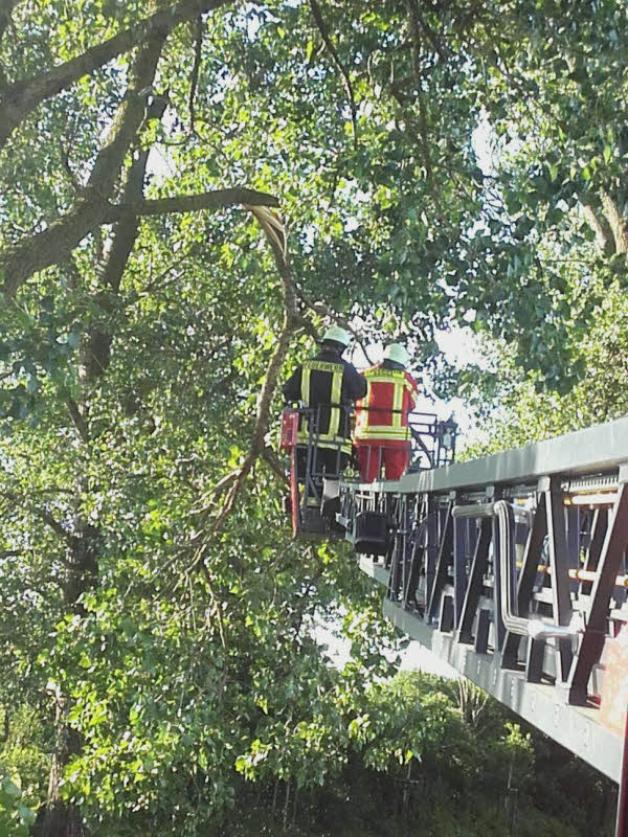Rehnaer Feuerwehrleute im Einsatz. Rehnaer Feuerwehrleute im Einsatz.