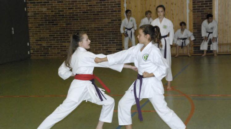 Fortgeschrittene Karatekunst: Die Violettgurt-Trägerinnen (5. oder 4. Kyu) Saskia Henning (l.) und Mira Neumann