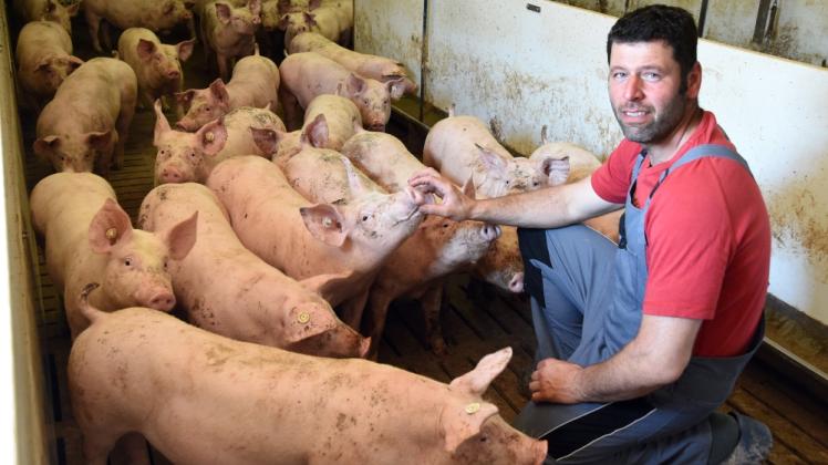 Der Plater Schweinebauer Stefan Wille genannt Niebur bekommt jetzt zwar mehr Geld fürs Kilo. Aber es reicht noch nicht, sagt der 44-Jährige. 1,80 Euro müssten es sein. 