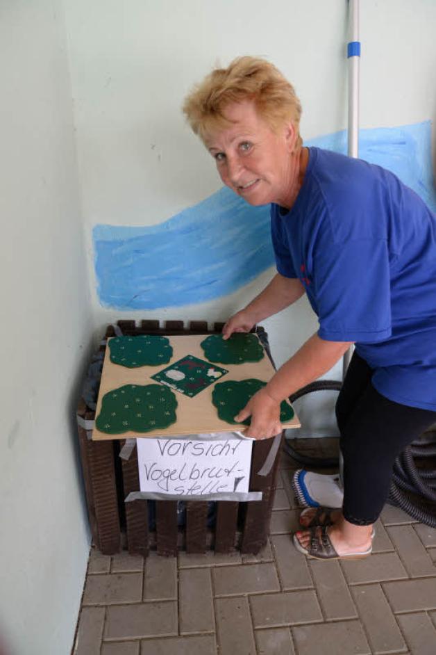Hannelore Fischer hütet das Nest der Schaf Bachstelze Hannelore Fischer hütet das Nest der Schaf Bachstelze