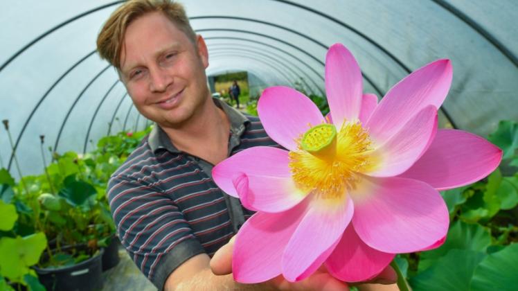 Christian Meyer-Zilinski  auf der Seerosenfarm mit einer Lotus-Blüte, die den Namen „Bigfoot“ trägt.  