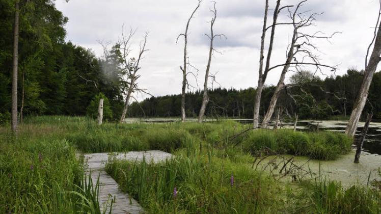Durchden Schilde-Erlebnis-Steg können Besucher übers Wasser wandeln.  