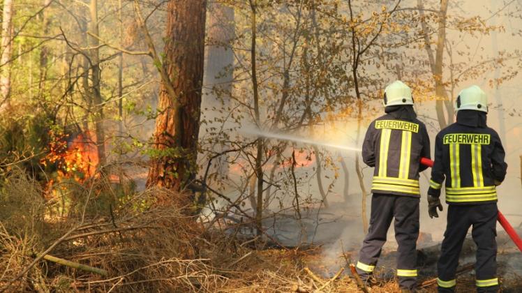 Feuerwehrleute löschten hier Anfang Mai einen Brand in einem Kiefernwald bei Wittstock. 