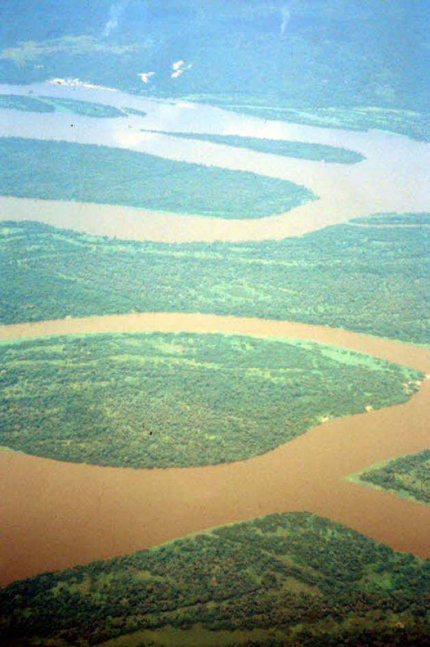 Die Luftaufnahme des Kongoflusses zeigt die Urwaldinseln, die ein regelrechtes Labyrinth formen.  