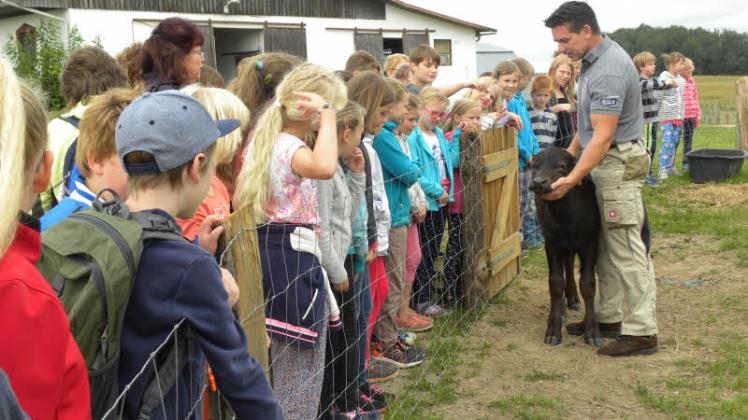 Von Jens Kohlhaus erfahren die Kinder viel über die Tiere und dürfen einige, wie hier einen Wasserbüffel, auch streicheln.