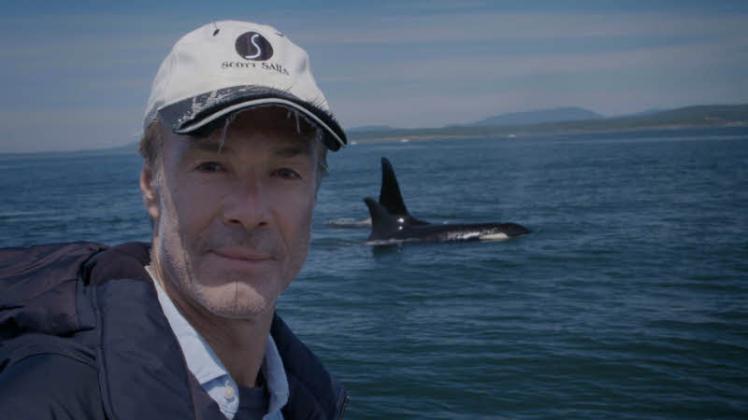 Hannes Jaenicke besucht den Orca-Clan an der Westküste der USAzdf