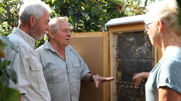 Mit Honigbienen auf Tuchfühlung: Egbert Zielke (M.), Vorsitzender des Güstrower Imkervereins, spricht mit Birgit und Dieter Köhlert über die Geheimnisse der Imkerei.  