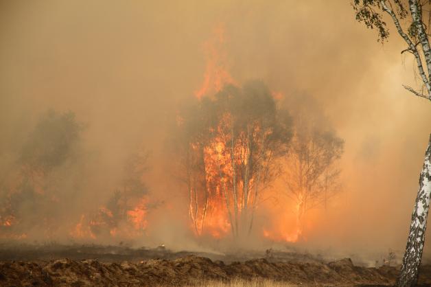 Riesiger Waldbrand bei Wittstock nach Sprengung einer Phosphorbombe. Riesiger Waldbrand bei Wittstock nach Sprengung einer Phosphorbombe.