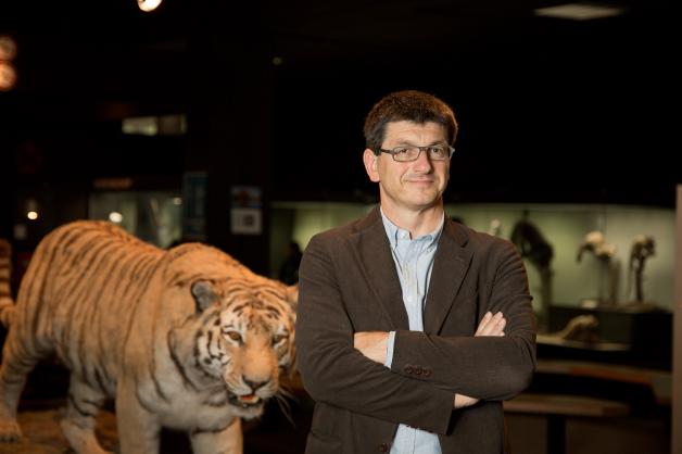 Matthias Glaubrecht, Leiter des Centrums für Naturkunde, mit ausgestopftem Tiger.