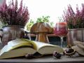Mit einem guten Buch genießt Caroline Weißert ihren Lieblingsplatz – ihren heimischen Balkon – am liebsten.
