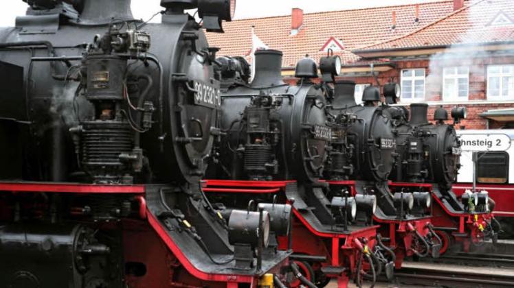 Die Mecklenburgische Bäderbahn ist seit 130 Jahren auch eine Augenweide.  