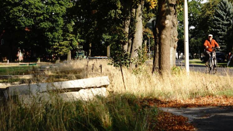 Am Ortsausgang von Groß Breese heißt es für Radler: Ab auf die Straße. Seit Jahren ist das kurze Teilstück versperrt. Jetzt muss die Gemeinde den Radweg zurückbauen.  