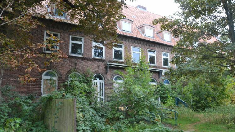 Zugewuchert und vergessen: Die Häuser, in denen die Psychiatrie-Patienten auf dem Hesterberg einst lebten, stehen heute größtenteils leer. Einige Bauten sind in den vergangenen Jahren bereits abgerissen worden. 