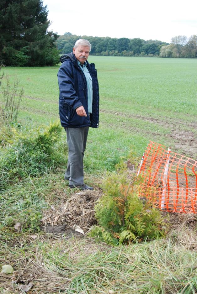 Horst Kraus reicht es: Zum Schutz der Anpflanzung hat er sogar Zäune aufgestellt – ein fast hilfloser Versuch.  Fotos: Peter Täufel 