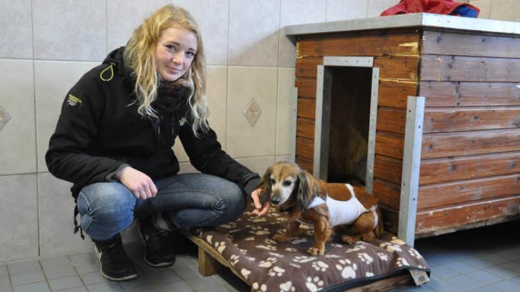 Nach einer OP erholt sich Dackel-Dame Susi sichtlich. Auch dank der liebevollen Pflege durch Azubi Johanna Weber. Fotos: Antje Kindler Nach einer OP erholt sich Dackel-Dame Susi sichtlich. Auch dank der liebevollen Pflege durch Azubi Johanna Weber. Fotos: Antje Kindler