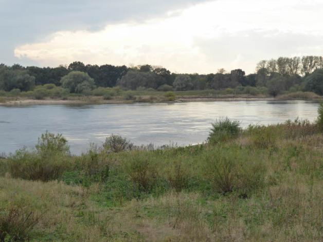 Die Elbe, der einstige Grenzfluss, grüßt derzeit bei Klaus Karnatz in Stiepelse aus etwa 200 Metern Entfernung. Sie fließt gleich hinterm Deich in einem gemächlichen Tempo. 