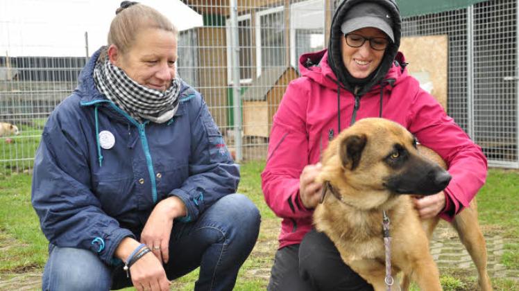 Irena Schwadke und Cornelia Grothe (v.l.) gönnen Prinz ein paar extra Streicheleinheiten.  