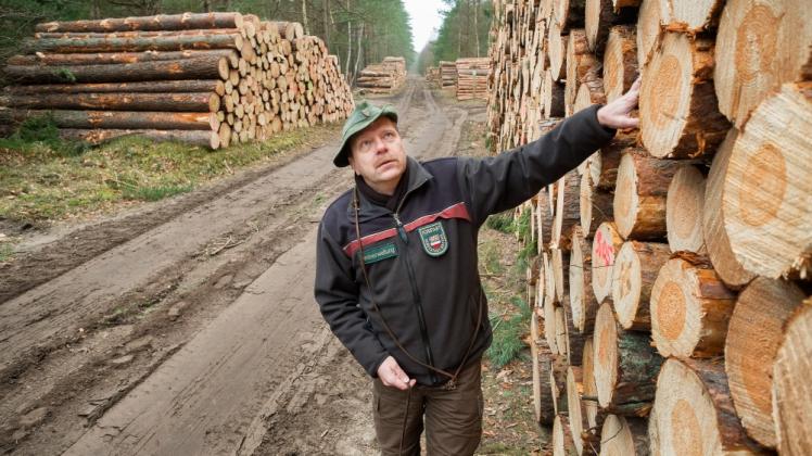 Der Holzverkauf spielt für Jörg Harmuth und das Stadtforstamt das Geld ein, das zur Aufforstung gebraucht wird.  