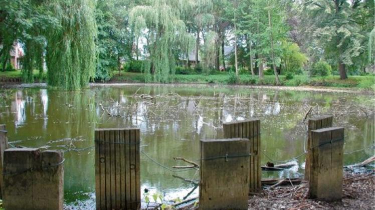 Azubis sollen Stadtpark verschönern SHZ