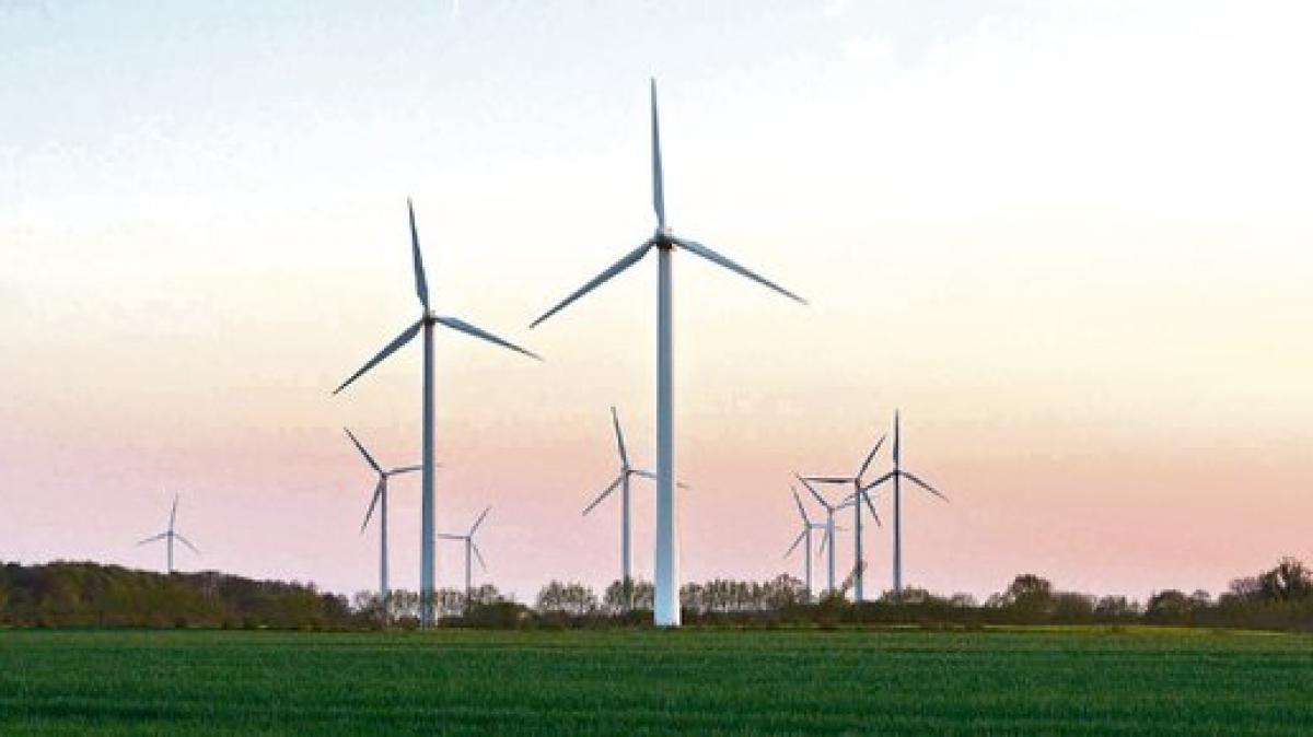 Abstimmung über Zukunft Der Windkraft | SHZ