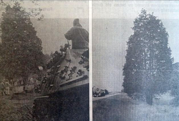 Ein 150 Jahre alter Lebensbaum wurde umgesiedelt. An der Aktion war sogar ein Bergungspanzer der Bundeswehr beteiligt.