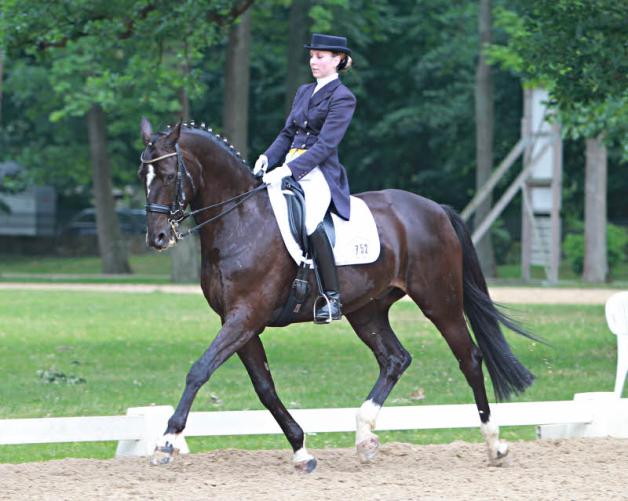 Christina Thieme verteidigte ihren Landesmeistertitel in der Dressur. Christina Thieme verteidigte ihren Landesmeistertitel in der Dressur.