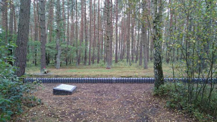 141 Namenssteine kennzeichnen jetzt die Massengräber im Neu-Lüblower Wald. 