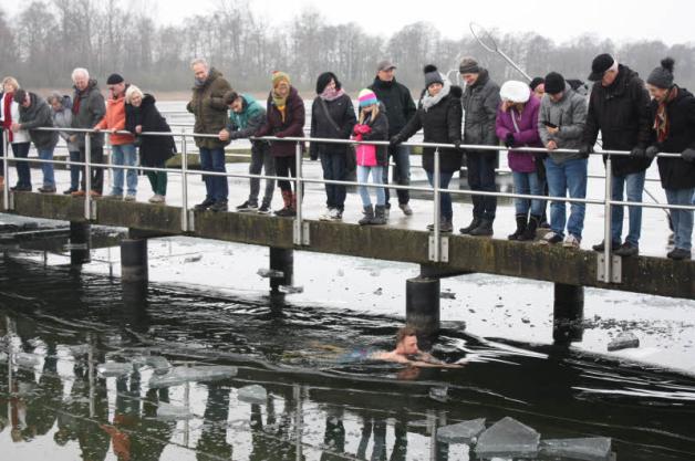 An Eisschollen vorbei schwimmen die Eisbader die knapp 25 Meter durch den Neustädter See. Fotos: Kathrin Neumann An Eisschollen vorbei schwimmen die Eisbader die knapp 25 Meter durch den Neustädter See. Fotos: Kathrin Neumann