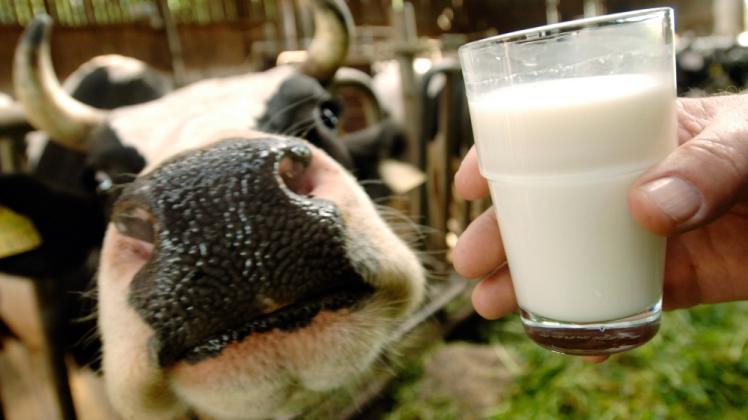 Die Preise für Milch waren tief in den Keller gerutscht. Mittlerweile ziehen sie zur Erleichterung für die Bauern wieder an.  