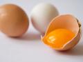 Kleines Kraftpaket: Eier kann der Körper vollständig verwerten